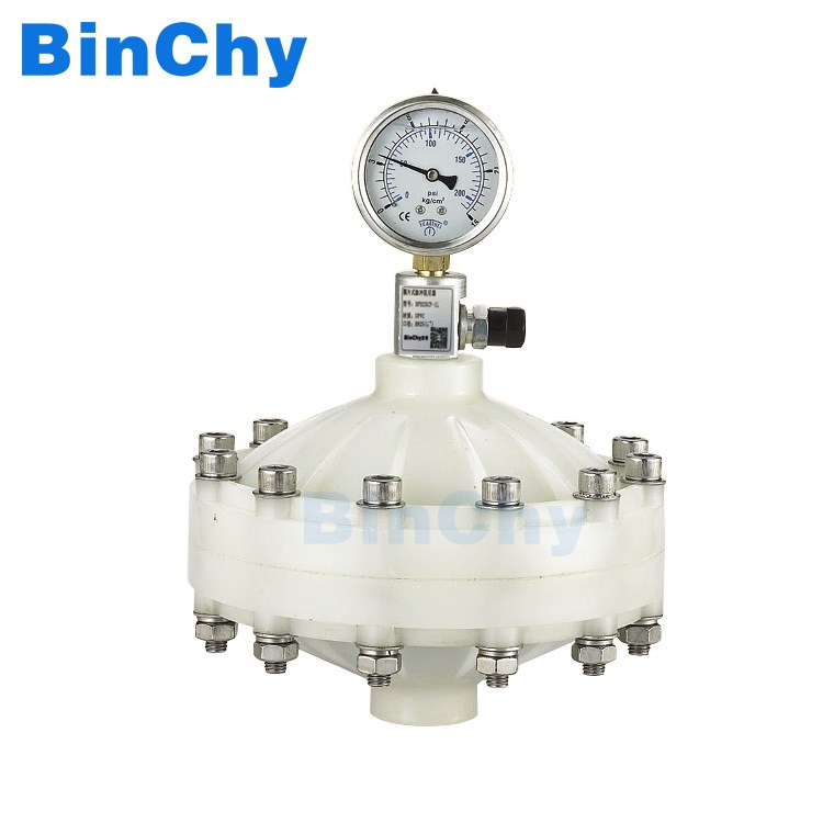 binchy脉冲阻尼器dpd25cn-1.0l/dpd25sn-1.0l高品质
