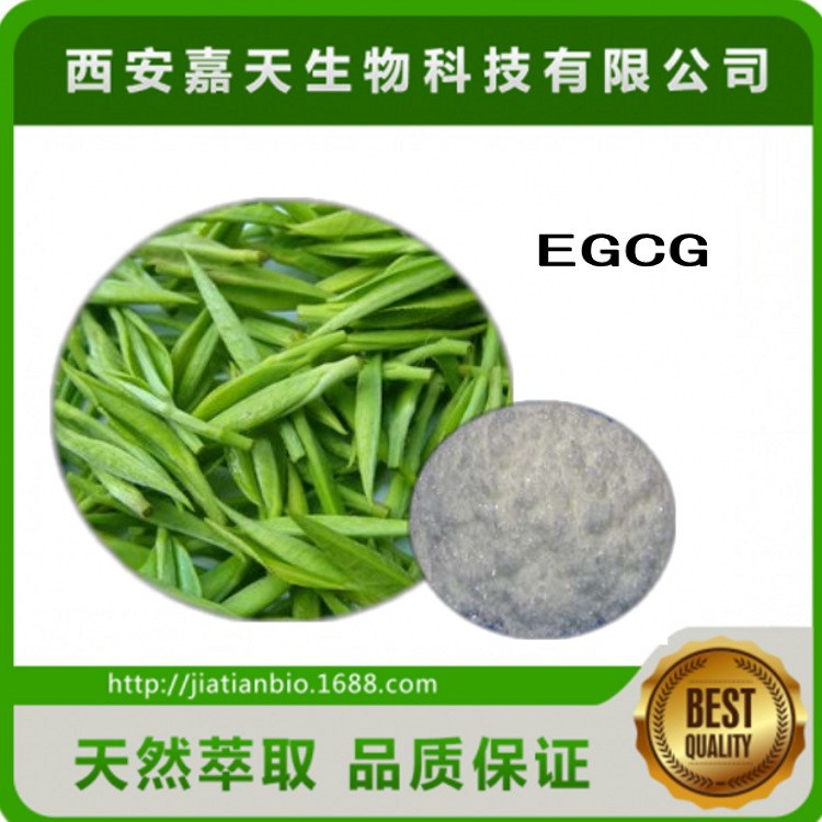 egcg 98 绿茶提取物 表没食子儿茶素没食子酸酯 100克包装