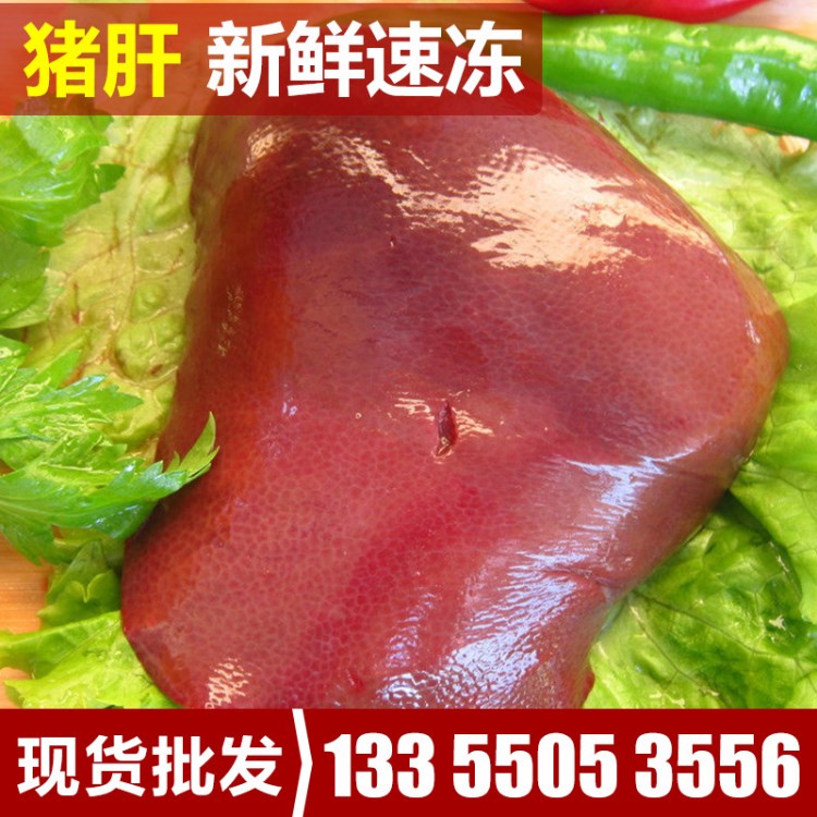 销售火锅食材冻猪肝副 冷冻猪猪肝高品质猪肝 冷冻食材猪肝猪副
