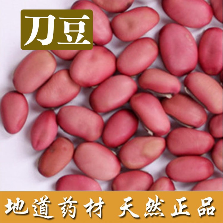 大量供应 红刀豆 大刀豆 白刀豆 刀芭豆 刀鞘豆 魔豆