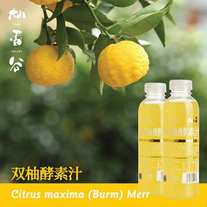 双柚酵素汁柚子汁功能饮料厂家直销纯果蔬汁产