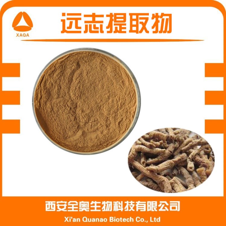 厂家批发 优质远志提取物20:1远志粉 远志皂甙 水溶 现货包邮