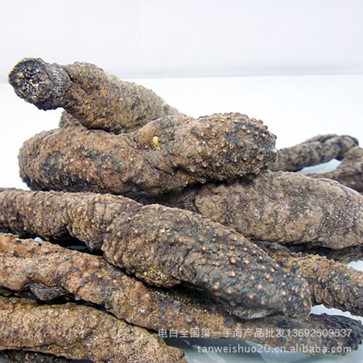 产地直销 散装血蛇参干货 干制海参海产品批发 进口食品海产品