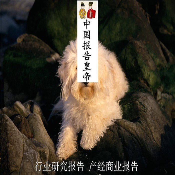 中国风电企业投资价值研究报告装机风能