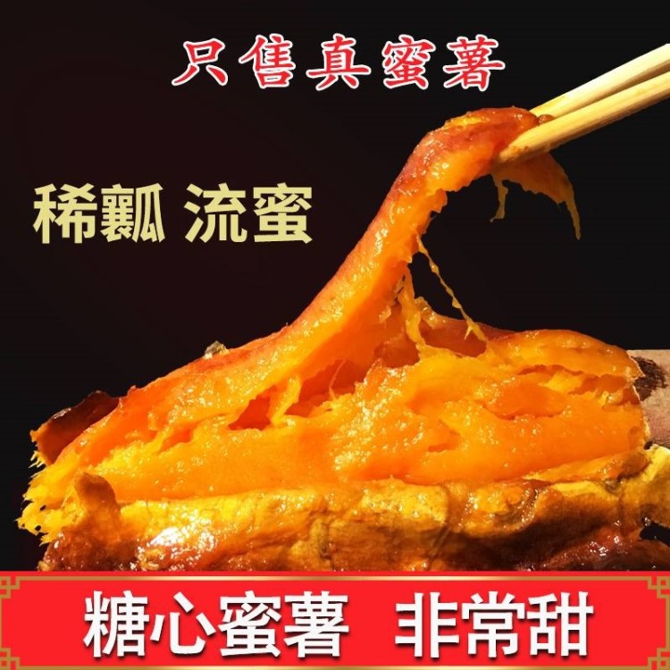 山东沙地蜜薯5斤包邮真蜜薯 新鲜烟薯25小香薯地瓜烤