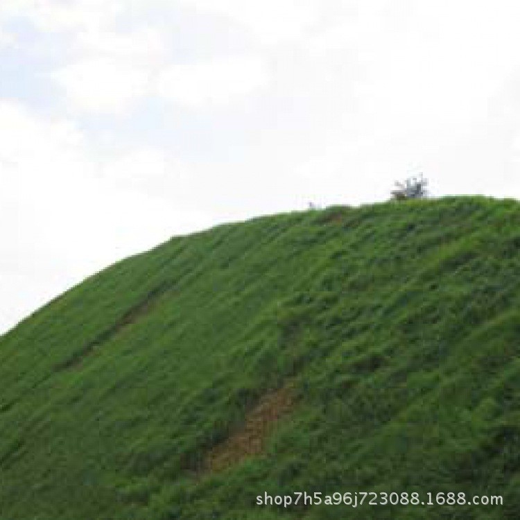 山体公路植被混凝土植草护坡绿化施工 客土喷播包工包