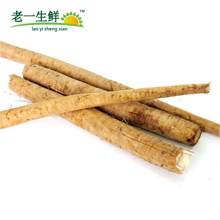 【老一生鲜】新鲜牛蒡 500g