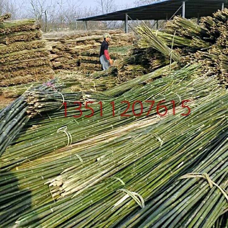 出售优质菜架竹蔬菜瓜果搭架专用竹芊实心树水竹农用竹芊搭棚养殖