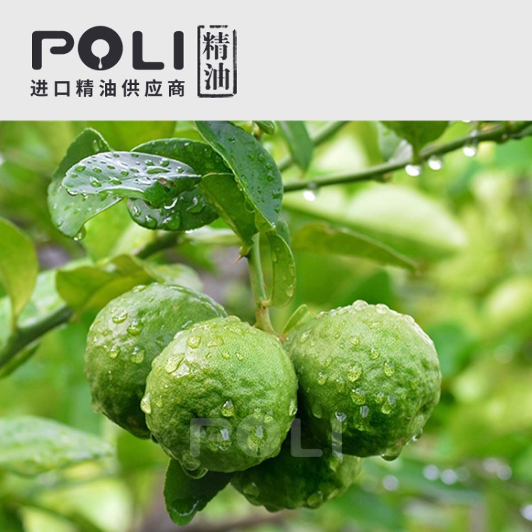 (意大利) 佛手柑精油 原料灌装上海护肤品oem配方【poli/颇黎】