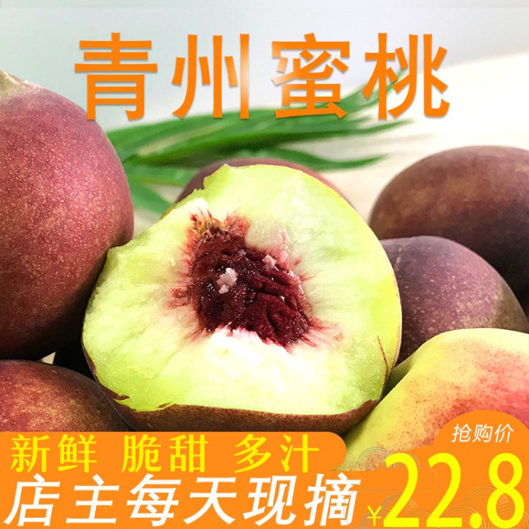 现货桃子 青州蜜桃新鲜 时令应季水果5斤装离核秋桃