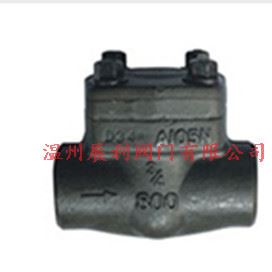 溫州閥門 DN15-50 150LB-2500  鍛鋼止回閥API.DIN.GB示例圖1