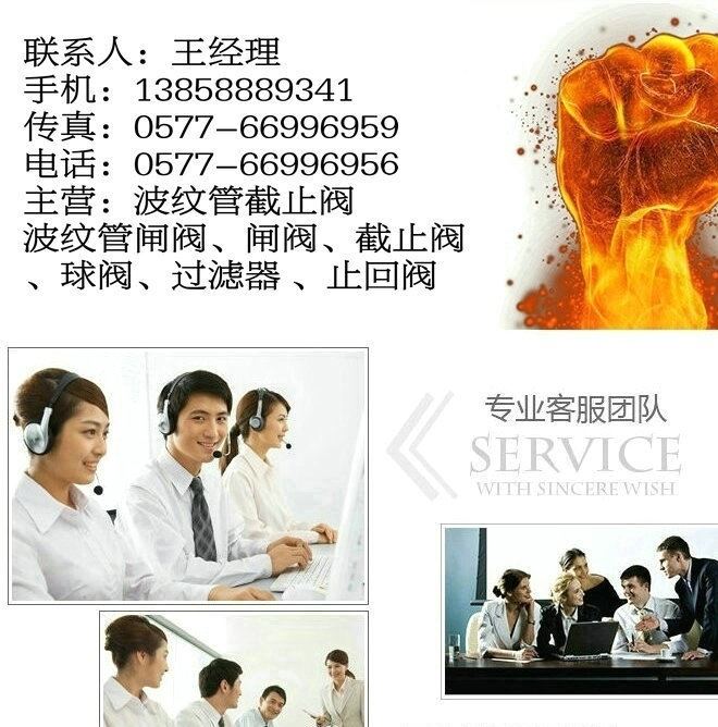 廠家直供 高溫高壓圓盤式疏水閥示例圖13