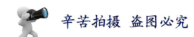 鋼筋支架，建筑建材塑料馬凳示例圖5