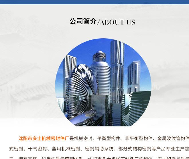 厂家直销机械密封件FO1d-35定制水泵用轴承不锈钢油封机封示例图10