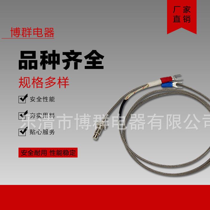 批發 羅丁式熱電偶 表面鉑電阻 感溫器 溫度探頭 E型 帶1米線示例圖2