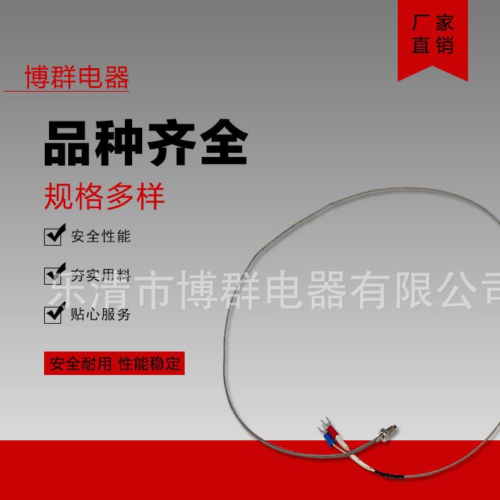 批發 羅丁式熱電偶 表面鉑電阻 感溫器 溫度探頭 E型 帶1米線示例圖4