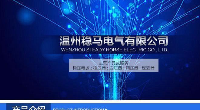 廠家生產 正弦波工頻逆變器220V 直流/變交流電壓電動機示例圖1