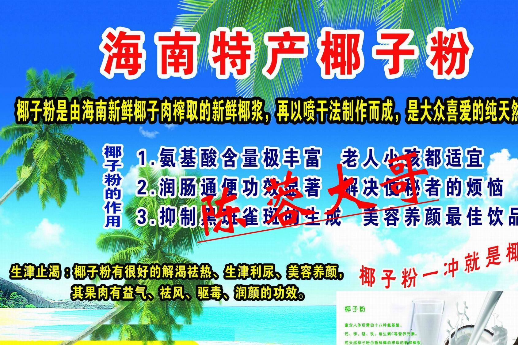 海南椰子粉批發(fā)  速溶椰粉 展銷會熱賣中的椰子粉示例圖1