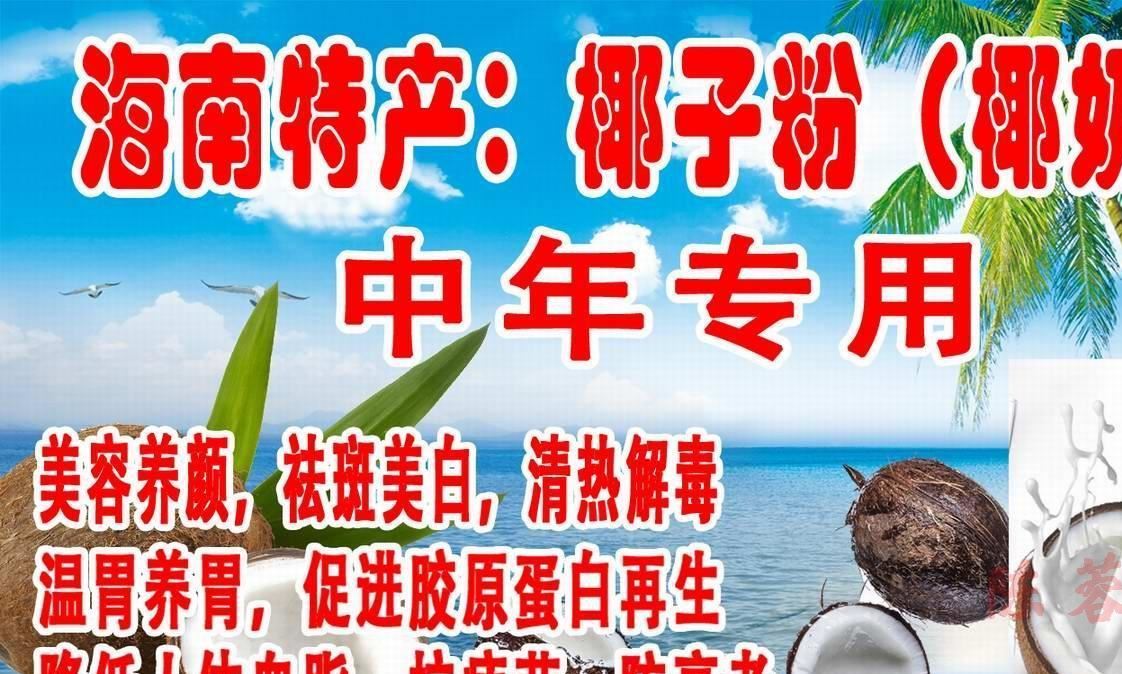 海南椰子粉批發(fā)  速溶椰粉 展銷會熱賣中的椰子粉示例圖3