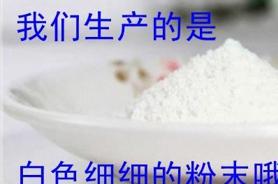 海南椰子粉批發(fā)  速溶椰粉 展銷會熱賣中的椰子粉示例圖6