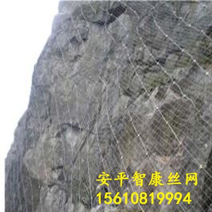 山體滑坡防落石柔性邊坡防護網 包安裝SNS邊坡防護網示例圖8