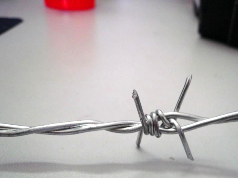 廠家定做直銷鐵絲網帶刺 鐵刺線 鍍鋅帶刺鋼絲 刺絲示例圖6