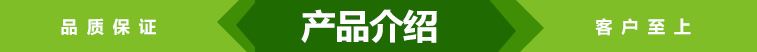 125cc蝙蝠侠中型卡丁车全地形卡丁车广场卡丁车双人卡丁车成人示例图1