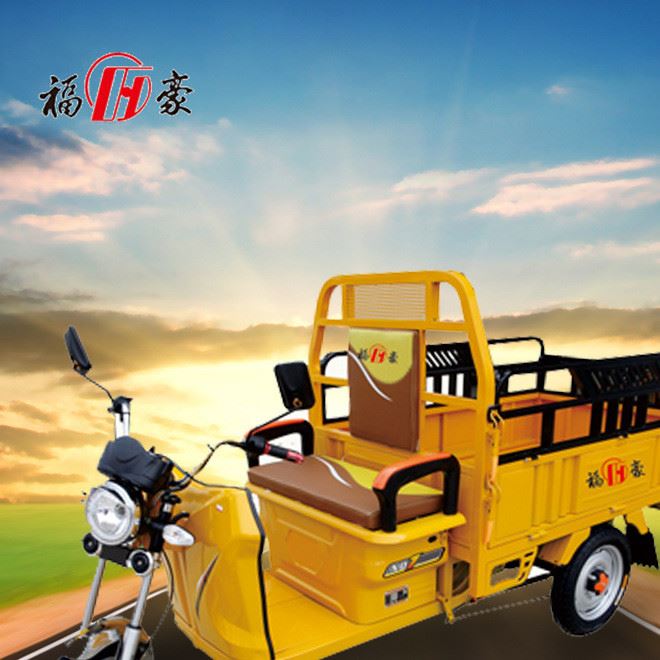 廠家直銷電動三輪車 農用貨運三輪車 載重快遞三輪車 品質示例圖1