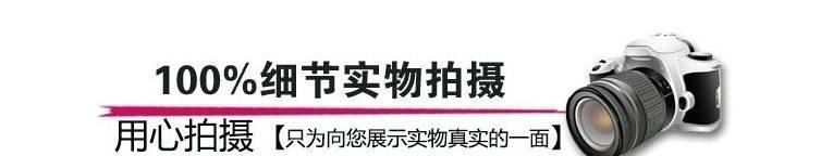 大众朗逸宝来速捷达桑塔纳帕萨特迈腾双层丝圈全包围汽车脚垫示例图1