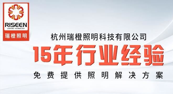 廠家直銷(xiāo)10W充電戶外投光燈 led投射燈泛光燈外露營(yíng)地?cái)傖烎~(yú)車(chē)載示例圖1