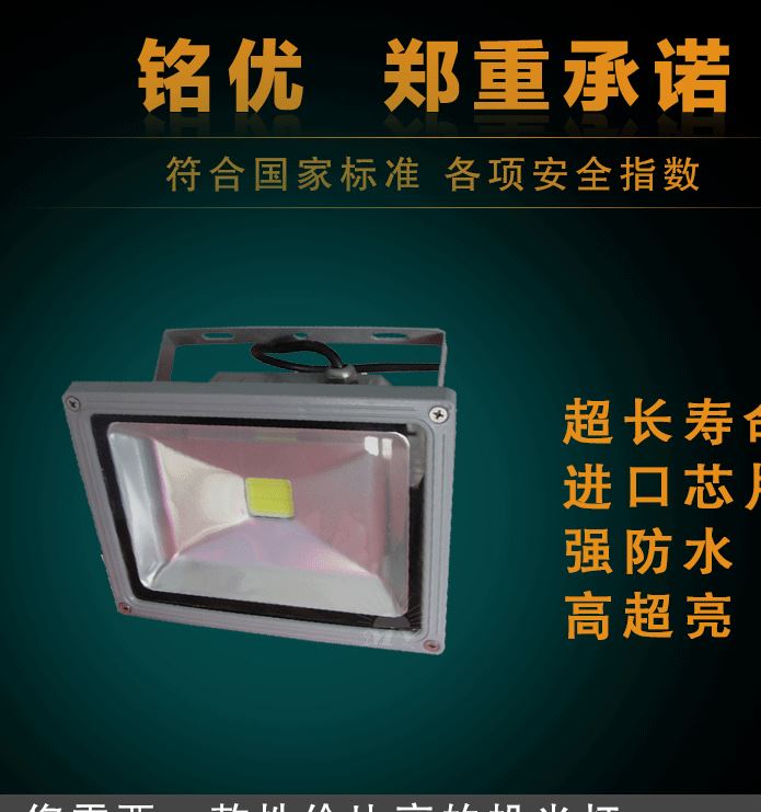 LED投射燈 足功率投光燈 戶外室外防水投光燈 足W泛光燈射燈示例圖1