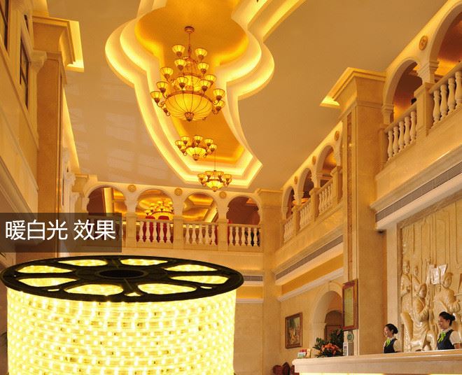 酒店家居專用220V超亮led軟條燈帶 3014防水燈條批發(fā)示例圖4