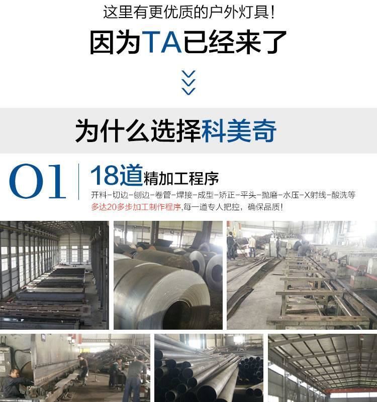 景觀庭院燈 戶外LED路燈 景區度假村燈 其他led戶外照明燈具示例圖2