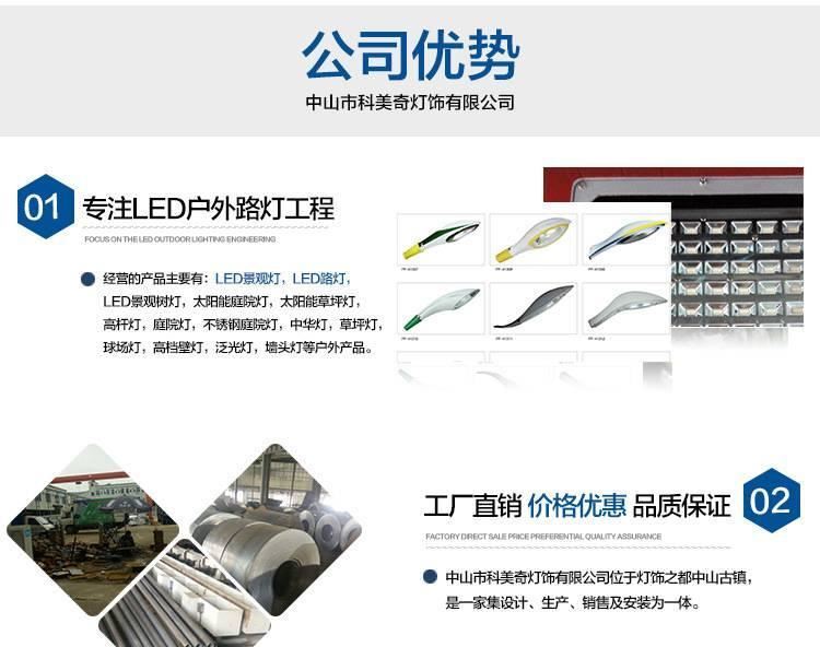 景觀庭院燈 戶外LED路燈 景區度假村燈 其他led戶外照明燈具示例圖5