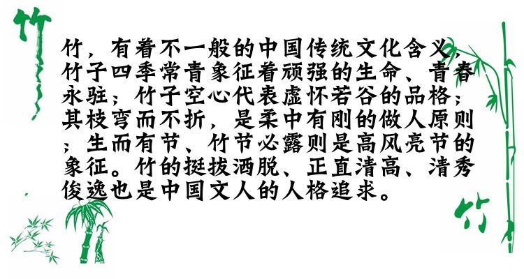 庭院植物地栽淡竹 竹子苗 紫竹 青竹 金镶玉竹 早园竹 竹苗 竹根示例图1