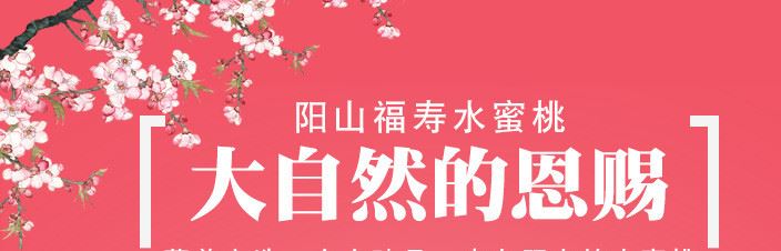 （精品）水果無錫陽山水蜜桃 12只裝每只6兩以上 桃子示例圖1