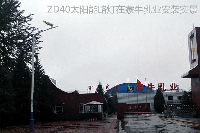 廠家直銷  10W/20w/30w/40w/50w 新農村建設 LED太陽能路燈示例圖1