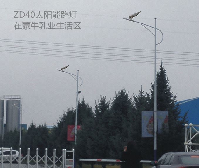 廠家直銷  10W/20w/30w/40w/50w 新農村建設 LED太陽能路燈示例圖3