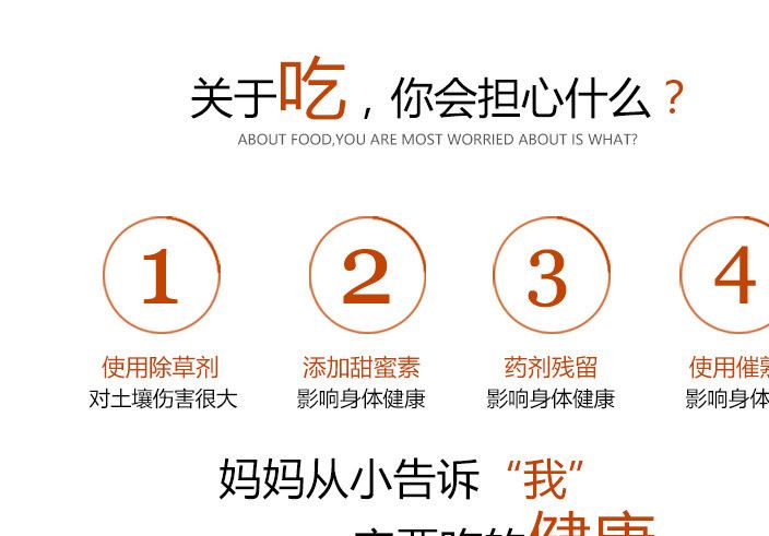 批發四川眉山特產春見耙耙柑 肉厚多汁鮮美 果味十足 10斤起批示例圖3