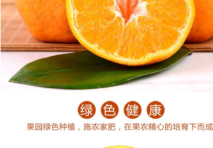 批發四川眉山特產春見耙耙柑 肉厚多汁鮮美 果味十足 10斤起批示例圖12