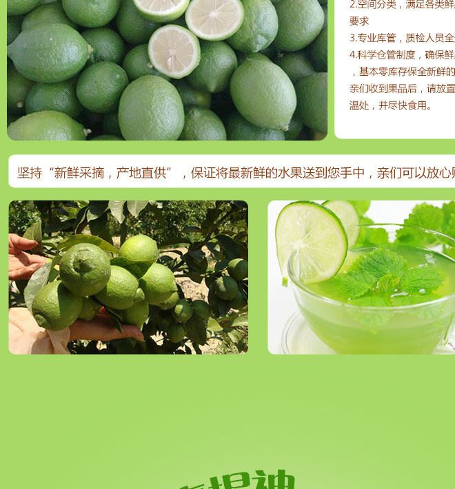 無籽香水青檸檬批發 5斤清香多水酸檸檬 新鮮薄皮檸檬廠家現貨示例圖6