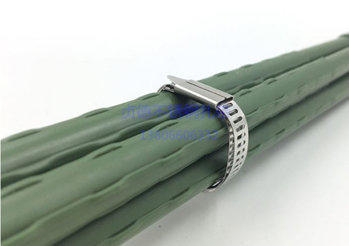 廠家直銷不銹鋼扎帶304卡扣式扎帶7*200船用電線電纜綁自鎖式扎帶示例圖9