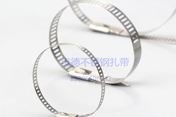 廠家直銷不銹鋼扎帶304卡扣式扎帶7*200船用電線電纜綁自鎖式扎帶示例圖2