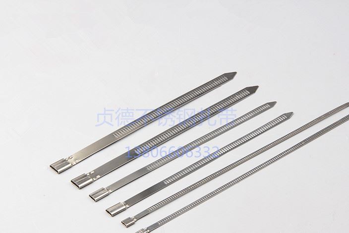 廠家直銷不銹鋼扎帶304卡扣式扎帶7*200船用電線電纜綁自鎖式扎帶示例圖5