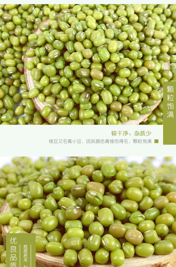 新鮮農(nóng)家綠豆五谷雜糧綠豆粥500g真空小綠豆粗糧八寶粥料示例圖4