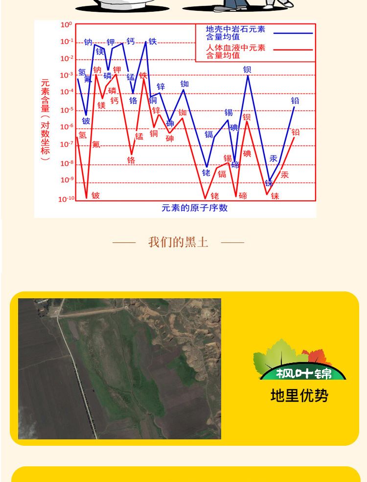 東北草炭土泥炭土黑土營養(yǎng)土營養(yǎng)基質(zhì)水稻育苗土包郵5斤10斤20斤示例圖5