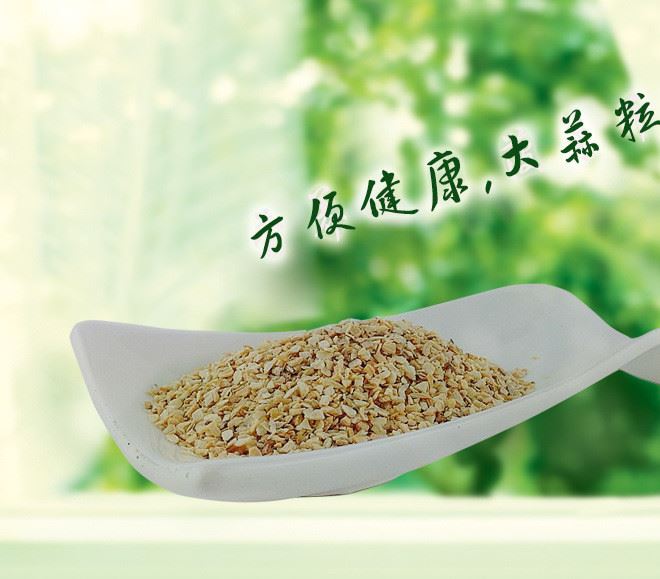 潤禾食品 生產(chǎn)廠家脫水蔬菜 脫水蒜粒 蒜粉 脫水蒜粉 品質(zhì)示例圖7