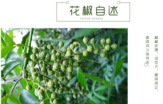 云南干青花椒 家居廚房必備調(diào)味品 美食伙伴調(diào)味香料花椒批發(fā)代理示例圖8