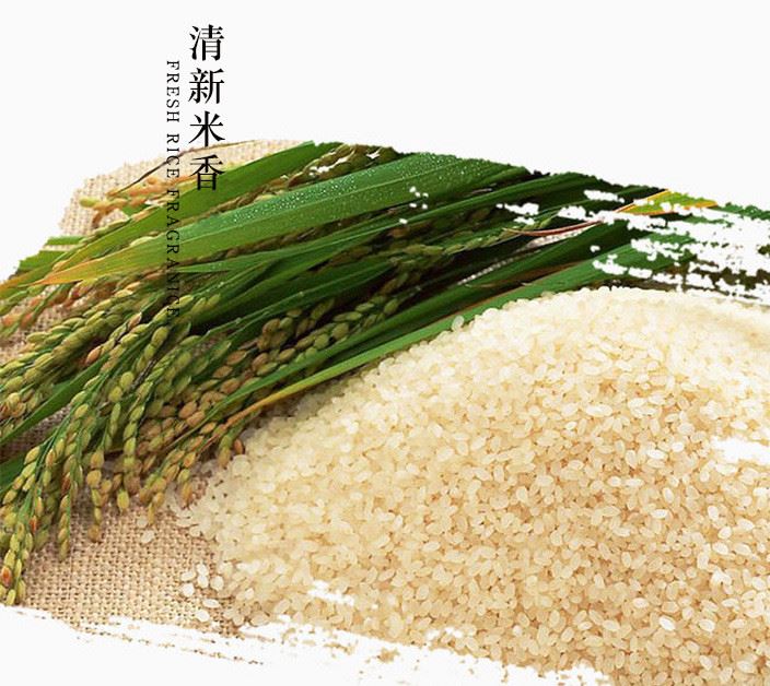 云南 綠色食品 禾外香生態(tài)米 糯滑粳米 5kg 真空包裝示例圖12