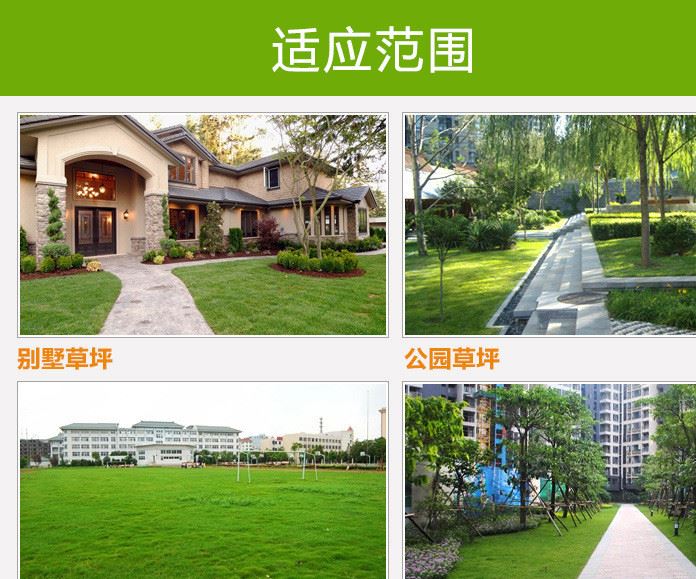 大量供應(yīng) 園林工具 草耙?guī)U 熱銷中示例圖1